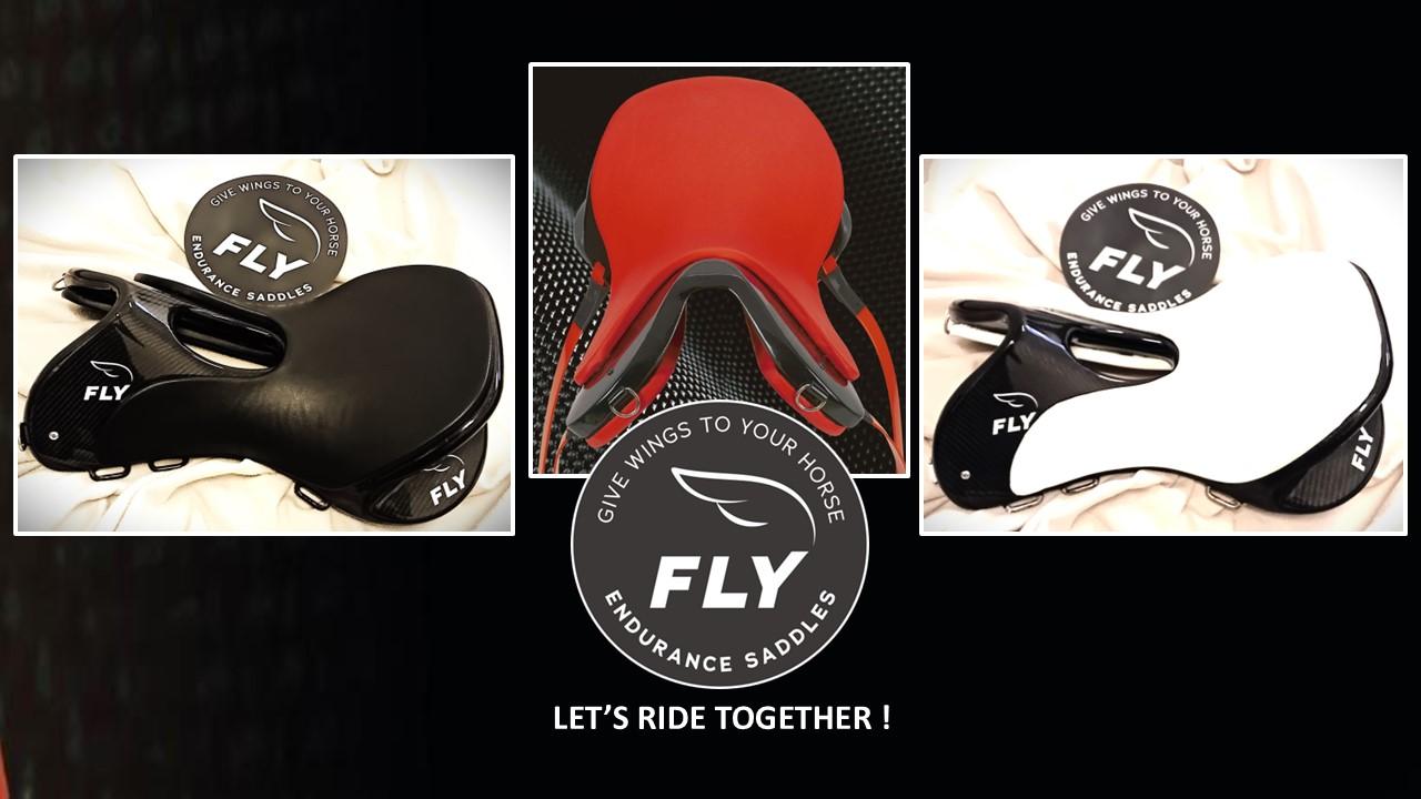 250120 fly internet site cover 1