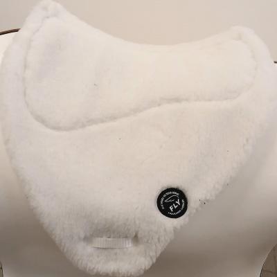 250317 white fly pad